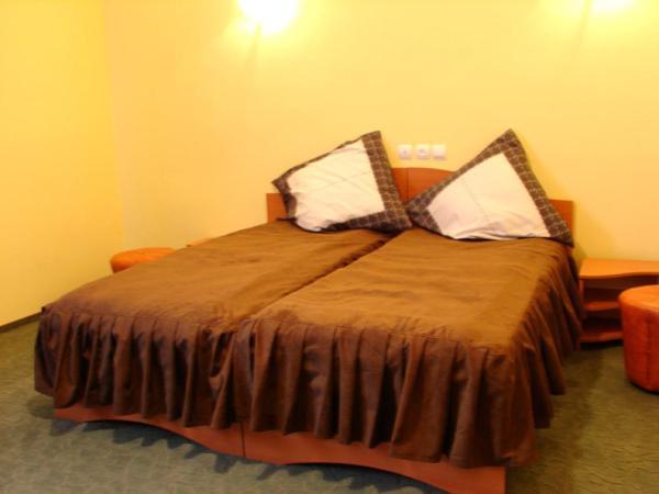Pension Teleptean Ocna Şugatag Habitación foto