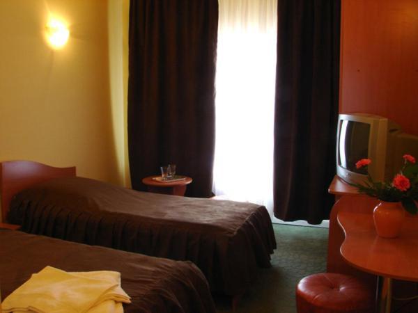 Pension Teleptean Ocna Şugatag Habitación foto