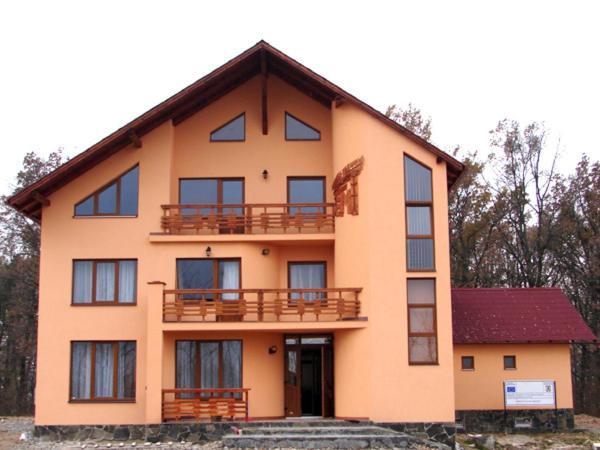 Pension Teleptean Ocna Şugatag Exterior foto